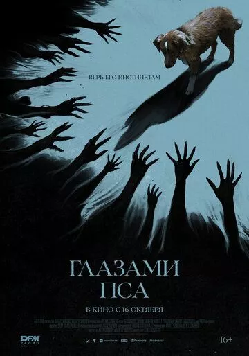 Глазами пса