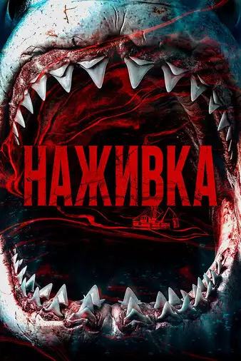 Наживка